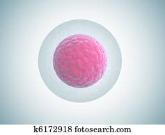 human embryo cell illustration human embryo cell illustration