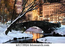 New York City Manhattan Central Park panorama at dusk