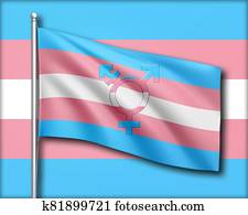 transgender, jelkép, képben látható, a, transgender, lobogó, alatt, keresztül, befest, kék, rózsaszínű, és, bíbor