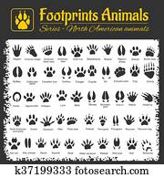 מסלולים של בעל החיים, -, צפון אמריקאי, בעלי חיים