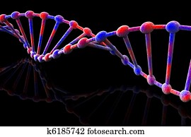 DNA DNA