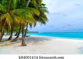 Lounge chairs on a beautiful tropical beach at Maldives Lounge chairs on a beautiful tropical beach at Maldives