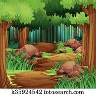 Scene with hiking track in the forest Scene with hiking track in the forest