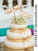 Wedding Cake Wedding Cake