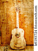 acoustic guitar acoustic guitar