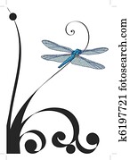 dragonfly dragonfly