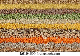 Various seeds and grains