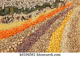 Various seeds and grains 