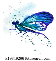 Blue Watercolor Dragonfly Blue Watercolor Dragonfly