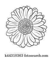 Gerbera chamomile icon. Vector line style
