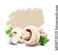 Vegetable set. Mushrooms, garlic, parsley, blob. Harvest and Thanksgiving fruit of nature, food collection for restaurants, menus, posters and grocery bags. Graphics and color Vegetable set. Mushrooms, garlic, parsley, blob. Harvest and Thanksgiving fruit of nature, food collection for restaurants, menus, posters and grocery bags. Graphics and color