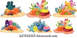 Coral reef Coral reef