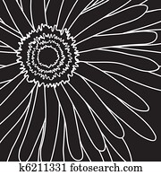 drawing gerbera 