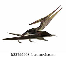 pteranodon walking with dinosaurs