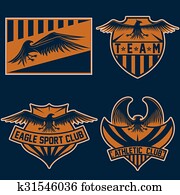 sport team crests set with eagles vector design template