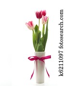 Tulips Tulips
