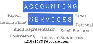 נהול חשבונות, שרותים, מס, כ.פ.ה.