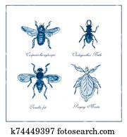 Carpenter Bee, Beetle, Oscinella Frit and Praying Mantis Vintage Collection Carpenter Bee, Beetle, Oscinella Frit and Praying Mantis Vintage Collection