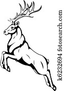 deer deer