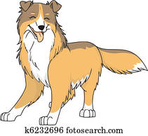dog dog