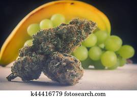Dried cannabis buds (Grape Ape strain) with fresh fruit - medical marijuana concept Dried cannabis buds (Grape Ape strain) with fresh fruit - medical marijuana concept
