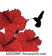 floral, fundo, com, hibisco, e, hummingbird