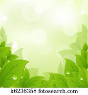 Fresh And Green Leaves Fresh And Green Leaves