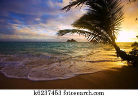 Pacific sunrise at Lanikai beach in Hawaii Pacific sunrise at Lanikai beach in Hawaii