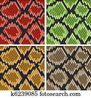 Snake skin Snake skin
