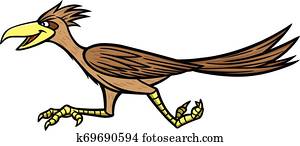 Road Runner Road Runner