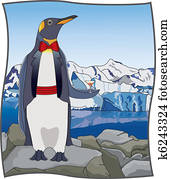 wohnviertel, pinguin wohnviertel, pinguin