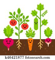 Cute vegetable garden illustration Cute vegetable garden illustration