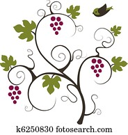 Grape vine and bird. Grape vine and bird.