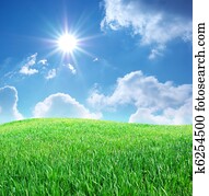 Grass and deep blue sky Grass and deep blue sky