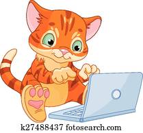 Kitten with laptop Kitten with laptop