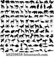 tiere, silhouetten, sammlung tiere, silhouetten, sammlung