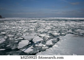 גלובלי מחמם