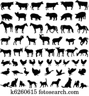 cultive animais, silhuetas