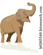 Elephant Elephant