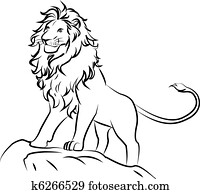 lion lion