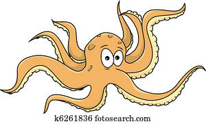 octopus octopus