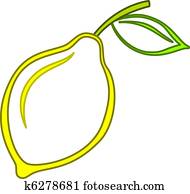 Fruit, lemon Fruit, lemon