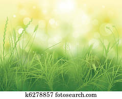 grass grass