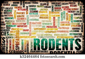 Rodents Rodents
