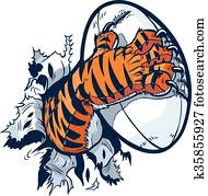 Tiger, pata, segurar, bola rúgbi