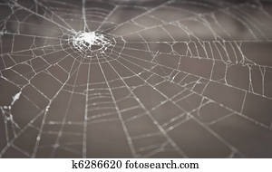 大きい 蜘蛛の巣 イラスト K Fotosearch