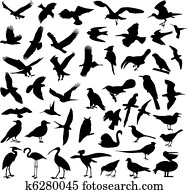 birds silhouettes birds silhouettes