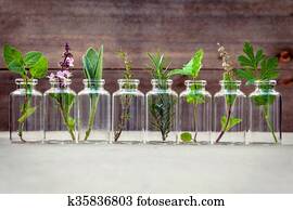 Bottle of essential oil with herbs Bottle of essential oil with herbs