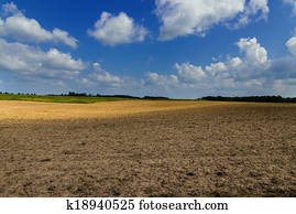 dirt agricultural field