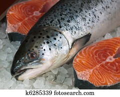 Fresh salmon Fresh salmon